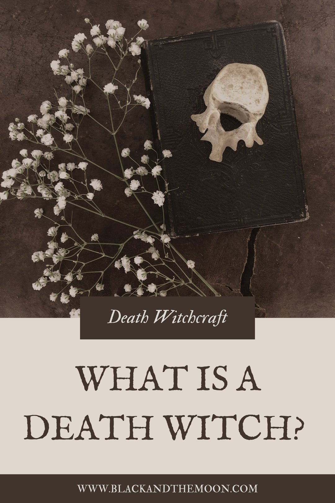 What is a Death Witch?