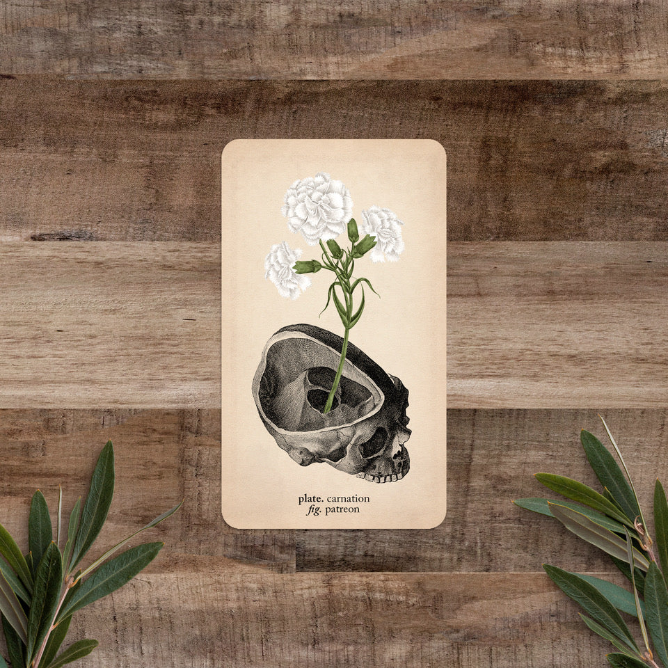 Plants of the Dead: Carnation