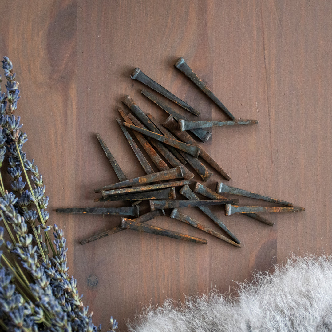 Antique Coffin Nails - Iron Nails - Set of Three