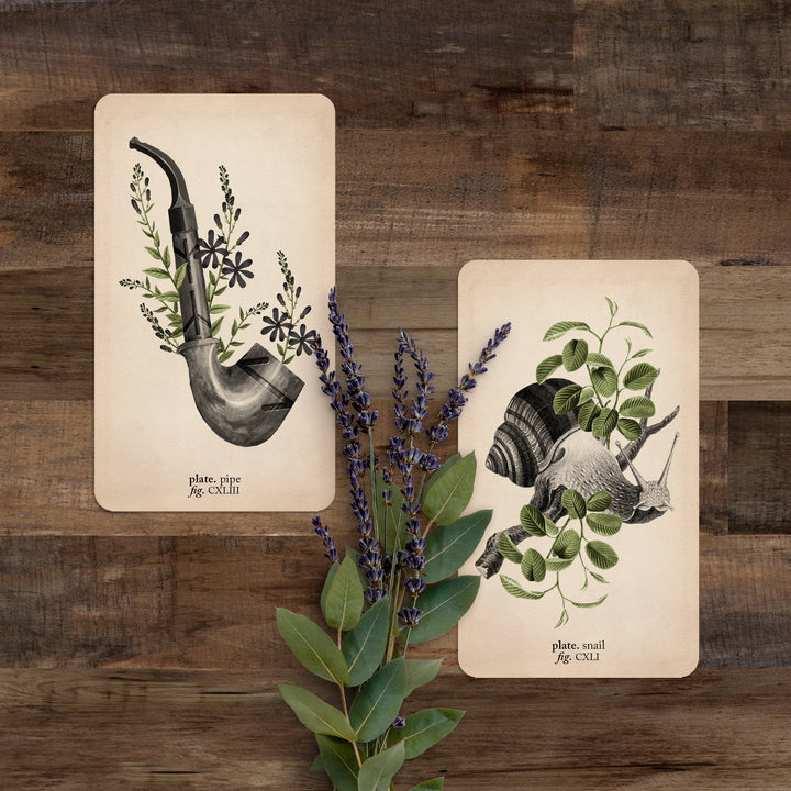 Two cards (pipe and snail) against a wooden background with lavender flowers between them